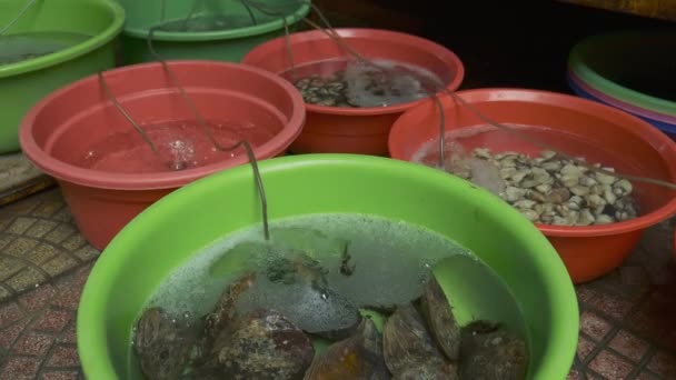 Pescados y mariscos en venta en un mercado — Vídeos de Stock