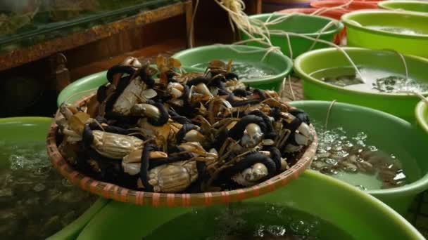 Pescados y mariscos en venta en un mercado — Vídeos de Stock