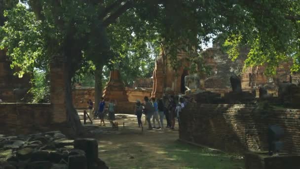 Templele Vechi Wats and Ruins — Videoclip de stoc