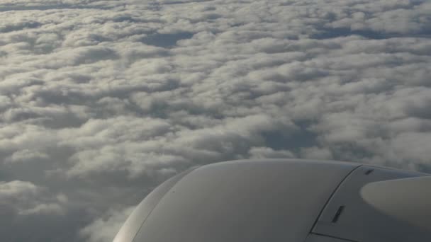 飛行 abobe spectacluar 雲 — ストック動画
