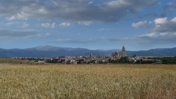 Pole pszenicy ze starożytnego miasta Segovia — Wideo stockowe