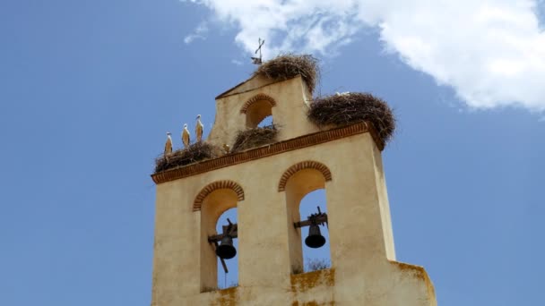 Pequena igreja bonita na Espanha rural — Vídeo de Stock