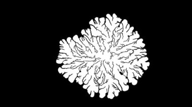 Organik genişleyen beyin benzeri desen