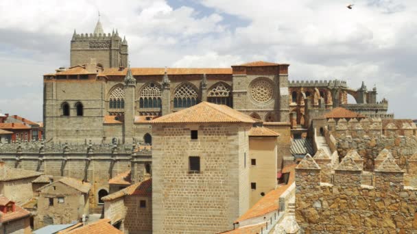 View of Avila cathedral — Stock Video