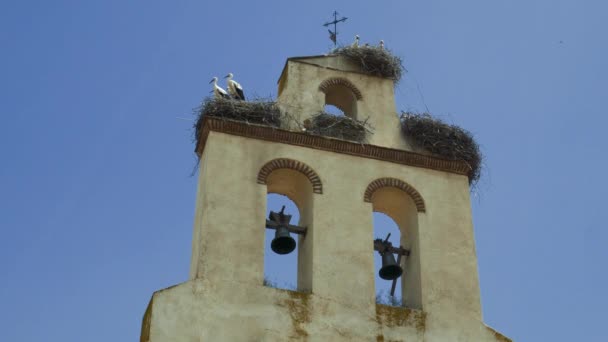 Pequena igreja bonita na Espanha — Vídeo de Stock