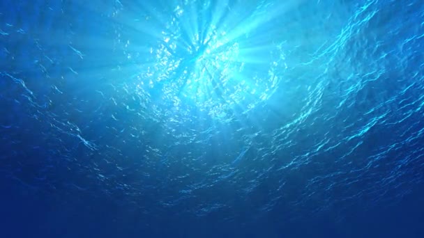 4k Licht reflektiert im Wasser — Stockvideo