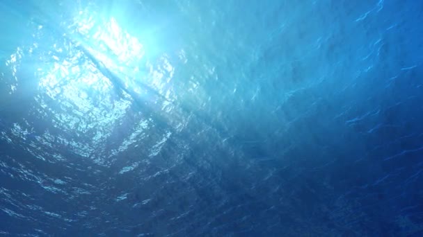 4K Lumière réfléchie dans l'eau 