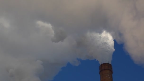 Rök från en industriell skorsten — Stockvideo