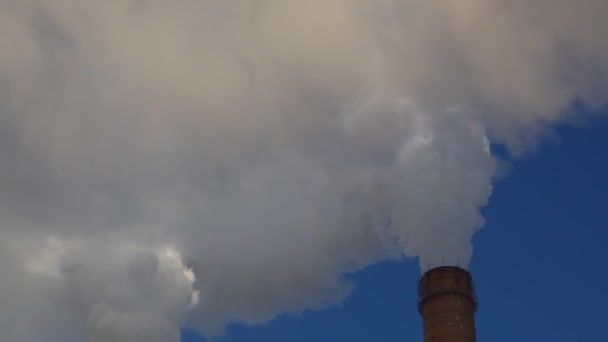 Humo de una chimenea industrial — Vídeo de stock