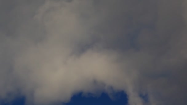 Огромный дым загрязняющий небо — стоковое видео
