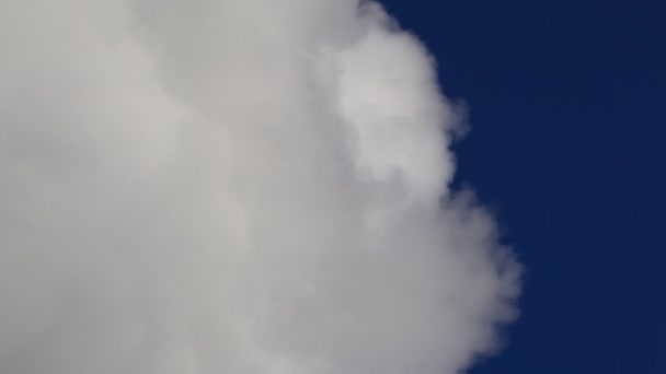 Enorma rök förorenande sky — Stockvideo