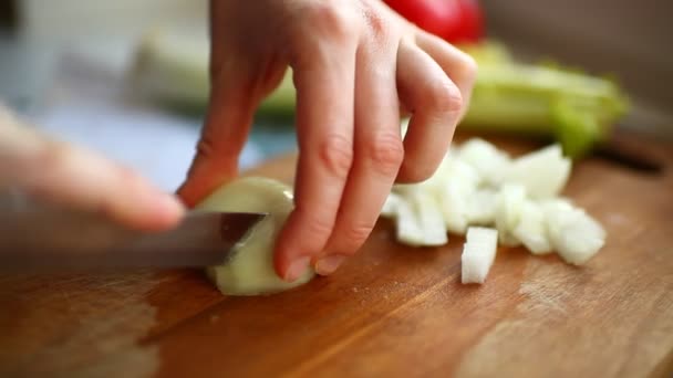 Vrouw handen snijden uien — Stockvideo