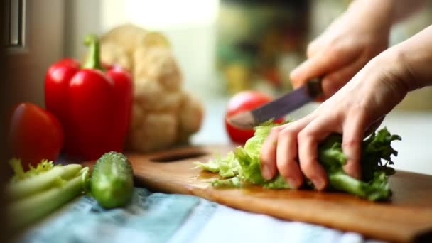 Mulher Mãos Cortando Salada Verde Cozinha Alta Definição 1080P Tiro — Vídeo de Stock