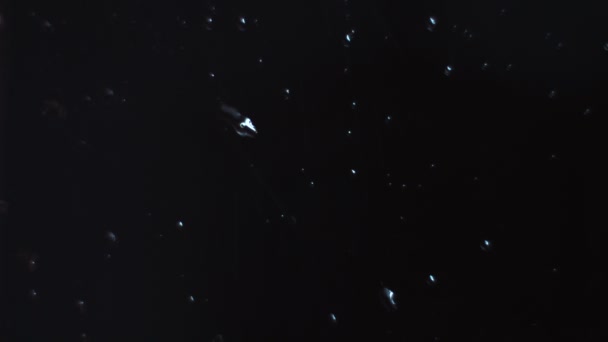 Regentropfen erscheinen auf einem Fensterglas — Stockvideo