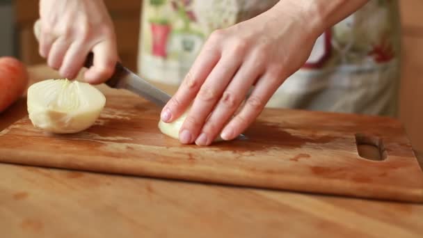 Vrouw handen snijden uien — Stockvideo