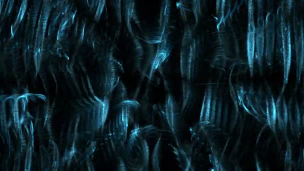 青い光抽象化された運動の背景 — ストック動画