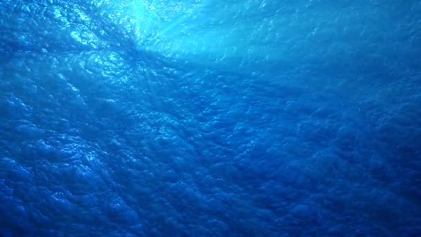 Onde oceaniche sottomarine — Video Stock