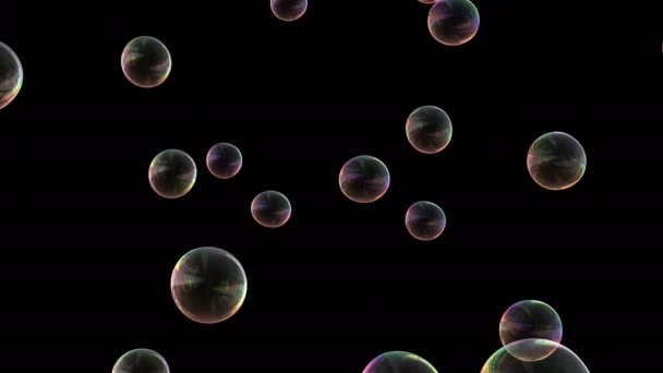 Мыльные пузыри изолированы на черном фоне — стоковое видео
