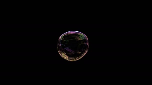 Мыльный пузырь надувается и летит — стоковое видео