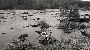 Sonbahar zaman nehre güzel görünüm.