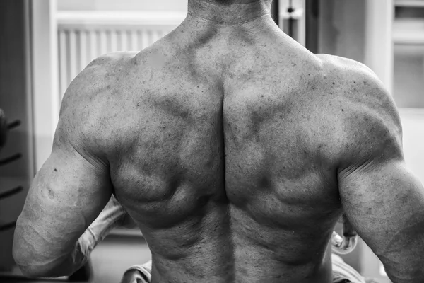 Sterke gespierde man doen oefeningen in de sportschool. — Stockfoto