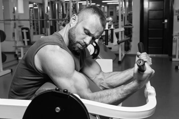 Idrottaren bänk biceps på simulatorn i gymmet. Hand muskelträning på simulatorn. Spända muskler i händerna under belastning. Bilder för idrottsliga tidskrifter, affischer och webbplatser. — Stockfoto