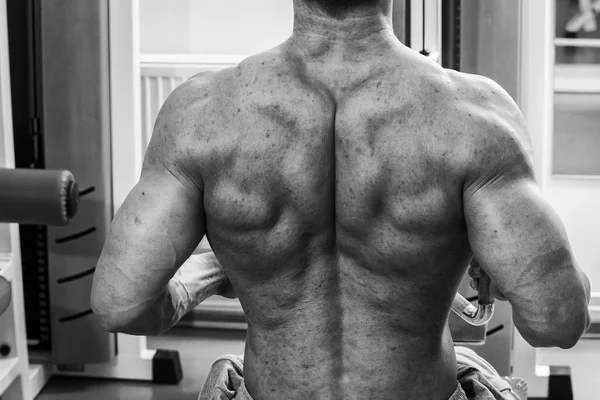 Fuerte hombre muscular haciendo ejercicios en el gimnasio . —  Fotos de Stock