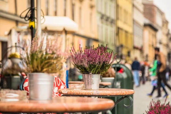 Krakow, Polonya - 28 Eylül 2015: Krakow en çok ziyaret edilen Polonya'da yabancı turistler ve Polonyalılar arasında bir şehirdir.