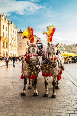 Krakow, Polonya - 28 Eylül 2015: Krakow en çok ziyaret edilen Polonya'da yabancı turistler ve Polonyalılar arasında bir şehirdir.