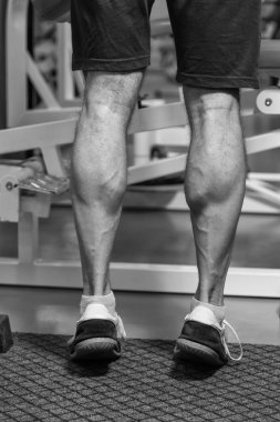 Vücut geliştirme dumbbells ile. Husky büyük bir dumbbell elinde tutar. Spor, vücut geliştirme, sağlıklı yaşam tarzı.