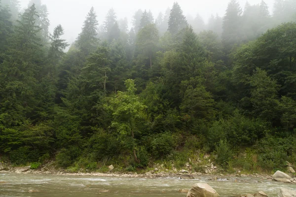 Bellissimo paesaggio fluviale e montano. Incredibilmente bella la natura delle montagne. Zona selvaggia verginale dell'uomo. Foto per riviste naturali, manifesti, fondali e siti web . — Foto Stock