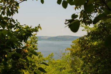Güzel manzara. Nehir manzarası tepeden. doğa, nehir.