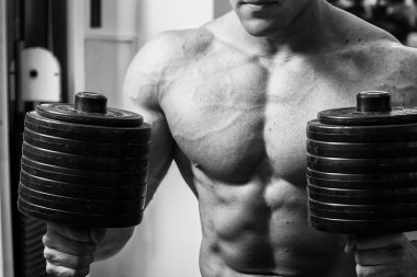 Vücut geliştirme dumbbells ile. Husky büyük bir dumbbell elinde tutar. Spor, vücut geliştirme, sağlıklı yaşam tarzı.