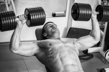 Vücut geliştirme dumbbells ile. Husky büyük bir dumbbell elinde tutar. Spor, vücut geliştirme, sağlıklı yaşam tarzı.