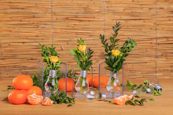 Bodegón con mandarinas, bulbos y hierbas . —  Fotos de Stock