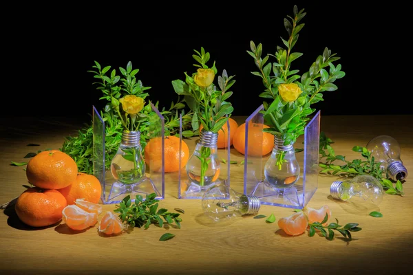 Kreativní fotografie s mandarinkami — Stock fotografie