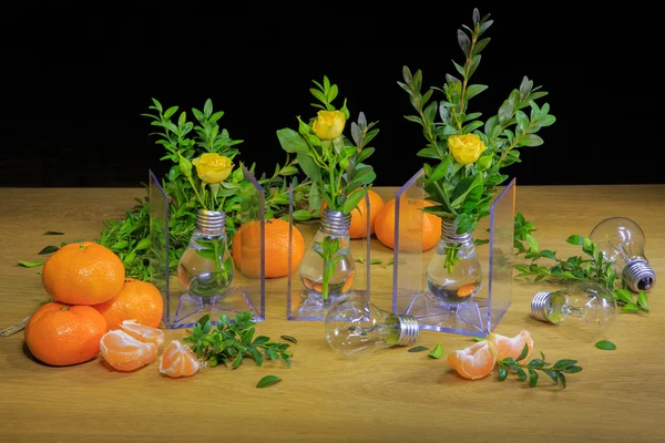 Kreativní fotografie s mandarinkami — Stock fotografie