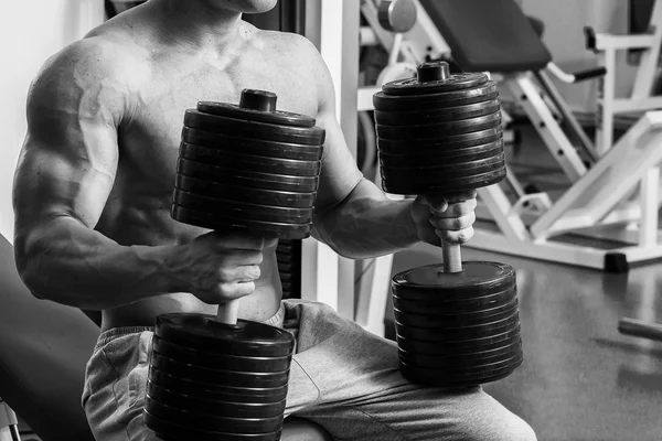 Treino de força com halteres. Husky segura um grande haltere na mão. Esporte, musculação, estilo de vida saudável . — Fotografia de Stock