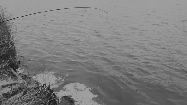 Rybář ryby v zimě spinning. Mladý rybář chytí v zimním období, sportovní rybolov, zdravý životní styl, volný čas, příroda. — Stock fotografie