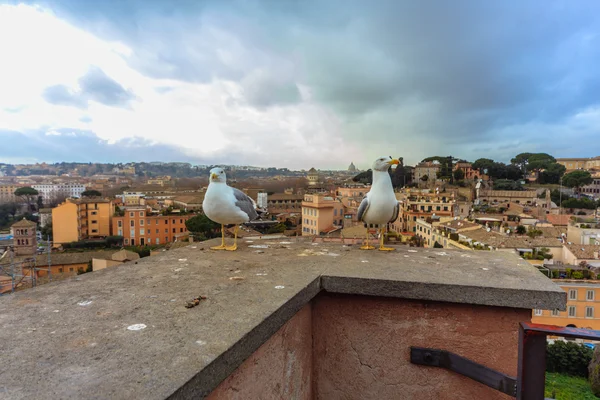 ROME - 5 janvier : Vue de Rome depuis la plateforme d'observation 5, 2016 à Rome, Italie . — Photo