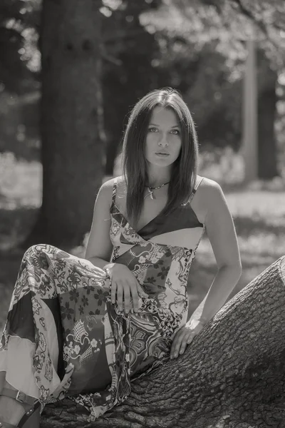 Jeune femme brune en robe blanche. Une fille se tient au milieu du champ de fleurs roses par une journée ensoleillée. Champ, fleurs beauté, nature, - Le concept de vacances à la campagne. Article sur les vacances . — Photo