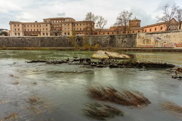 Rzym - 12 stycznia: Miły widok rzeki Tyber 12 stycznia 2016 w Rzym, Włochy. — Zdjęcie stockowe