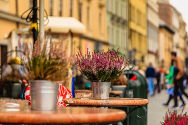 Krakow, Polonya - 15 Eylül: Krakow, Polonya'nın güzel görüşlerini 23 Eylül 2015