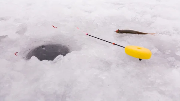 Pesca invernale. Pesca sul ghiaccio. Pescatore sulla pesca sul ghiaccio dal pozzo, una canna da pesca invernale speciale. Pesca in inverno. Attivo, freddo, pesce, attrezzatura da pesca invernale. Pesca sportiva invernale . — Foto Stock