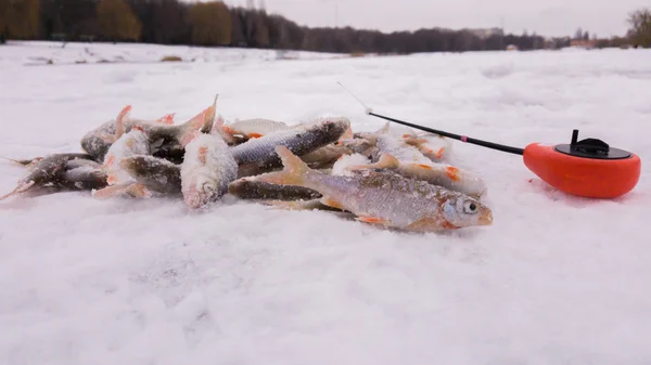 Зимняя рыбалка Ледяная. Рыбак на ледяной рыбалке из колодца, специальная зимняя удочка. Рыбалка зимой. Активная, холодная, рыбная, зимняя рыболовная снасть. Зимняя рыбалка . — стоковое фото