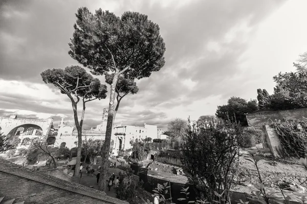 ROME - January 13: View of the Roman Forum  on January 13, 2016 in Rome, Italy. — Stock Photo, Image