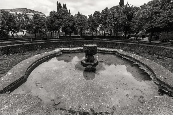 Roma - 13 Ocak: Roma Forumu Roma, İtalya görünümü üzerinde 13 Ocak 2016.