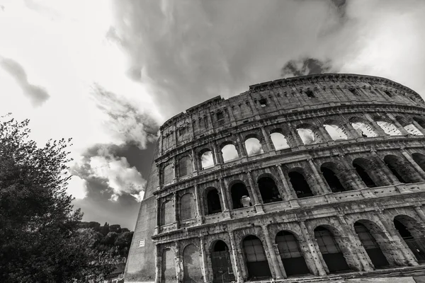 Roma - 10 Ocak: 10 Ocak 2016 yılında Coliseum dış Roma, İtalya. — Stok fotoğraf