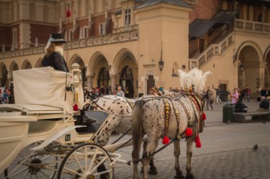 Krakow, Polonya - 15 Eylül: Krakow, Pazar Meydanı, Polonya üzerinde 22 Eylül 2015