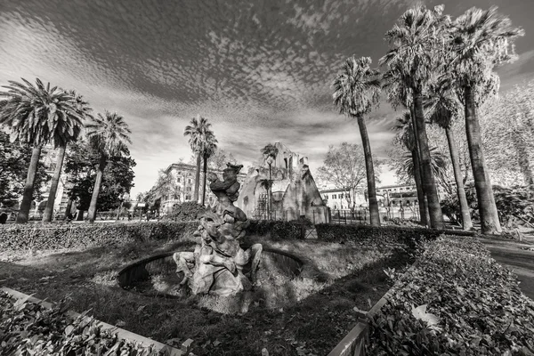 Un niño de cinco años camina por el parque. Niño en el parque con palmeras —  Fotos de Stock